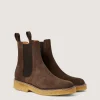 Store BOTTINES WILD Chaussures